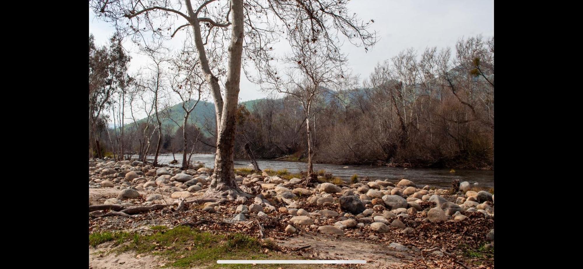 Sequoia River Front Cabins Three Rivers Exteriér fotografie