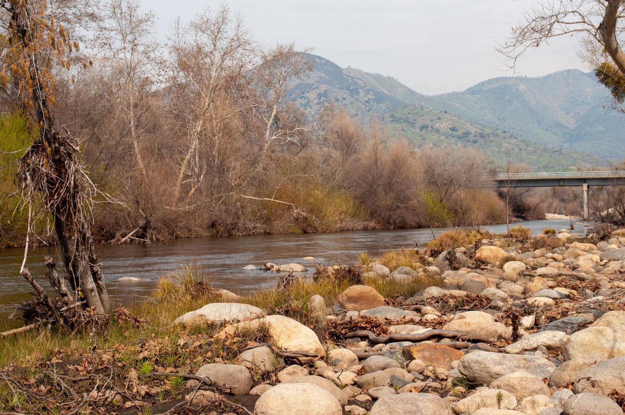 Sequoia River Front Cabins Three Rivers Exteriér fotografie